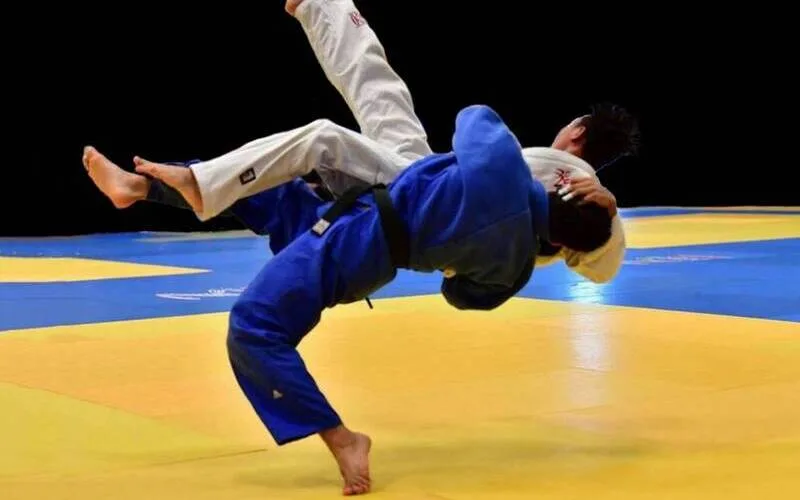 judo la gi