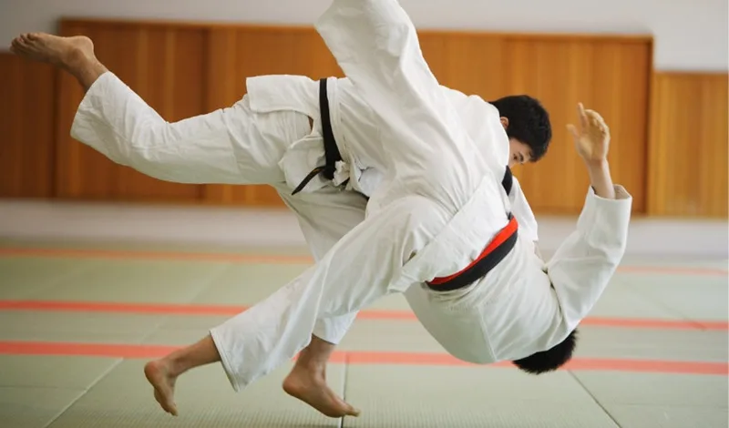 judo la gi